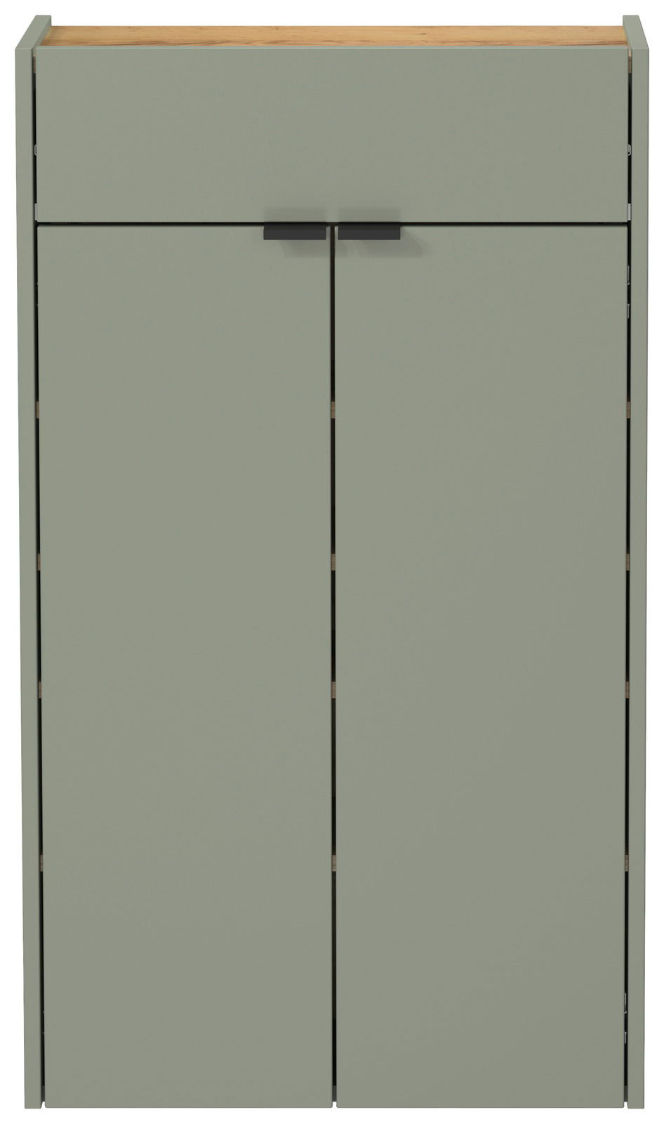 Moderner Hängeschuhschrank in grünlicher Farbe mit zwei Türen und schwarzem Griff, Frontalansicht