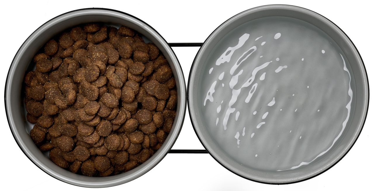 Zweierset aus Napf mit Trockenfutter und Napf mit Wasser, von oben betrachtet.