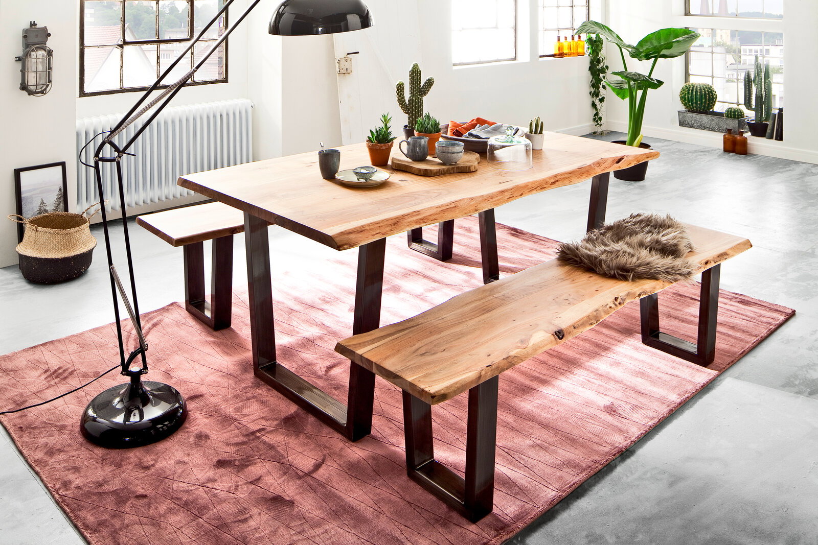 Moderner Esstisch aus Holz mit Metallbeinen, begleitet von zwei passenden Bänken, auf einem roten Teppich in einem hellen Raum mit Pflanzen und Dekorationen. Perspektive: seitlich.