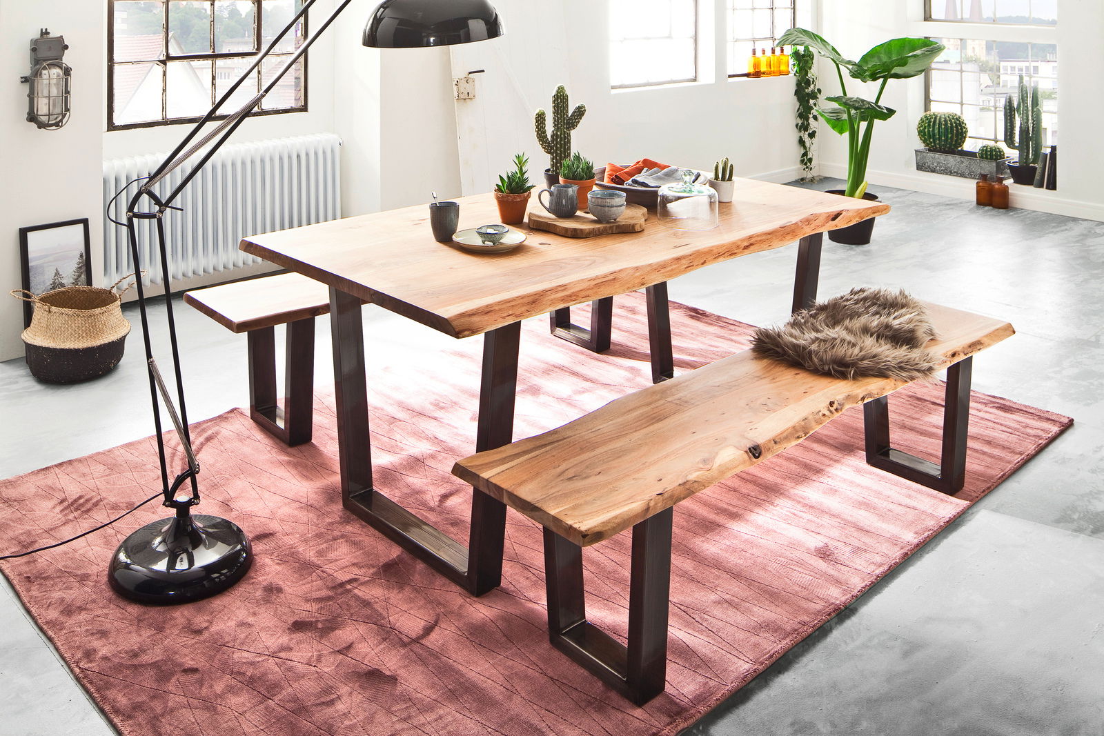 Moderner Esstisch aus Holz mit Metallbeinen, begleitet von zwei passenden Bänken, auf einem roten Teppich in einem hellen Raum mit Pflanzen und Dekorationen. Perspektive: seitlich.