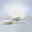 Villeroy & Boch Starter-Set 36-tlg. WONDERFUL WORLD WHIT