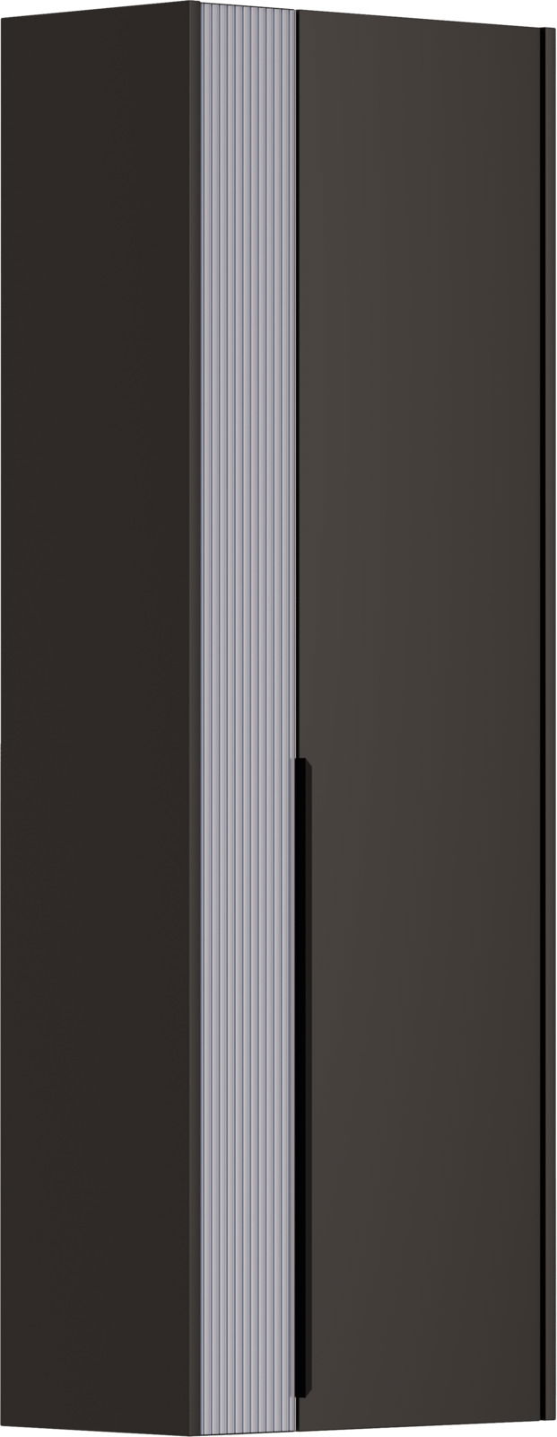 Dieter Knoll Hängegarderobenschrank TURIN Moderner Hängegarderobenschrank in dunkler Farbe, seitliche Perspektive