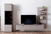 Modernes TV-Wohnwand-Set in Hellgrau mit Lowboard, Vitrine mit Glasfront und Wandregal mit Deko, frontale Perspektive auf die Möbel vor weißer Wand