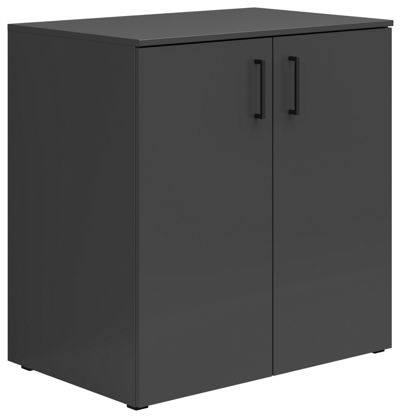 Carryhome Kommode MULTISTAURAUM Schwarze Kommode mit zwei Türen und schwarzen Griffen, seitliche Perspektive