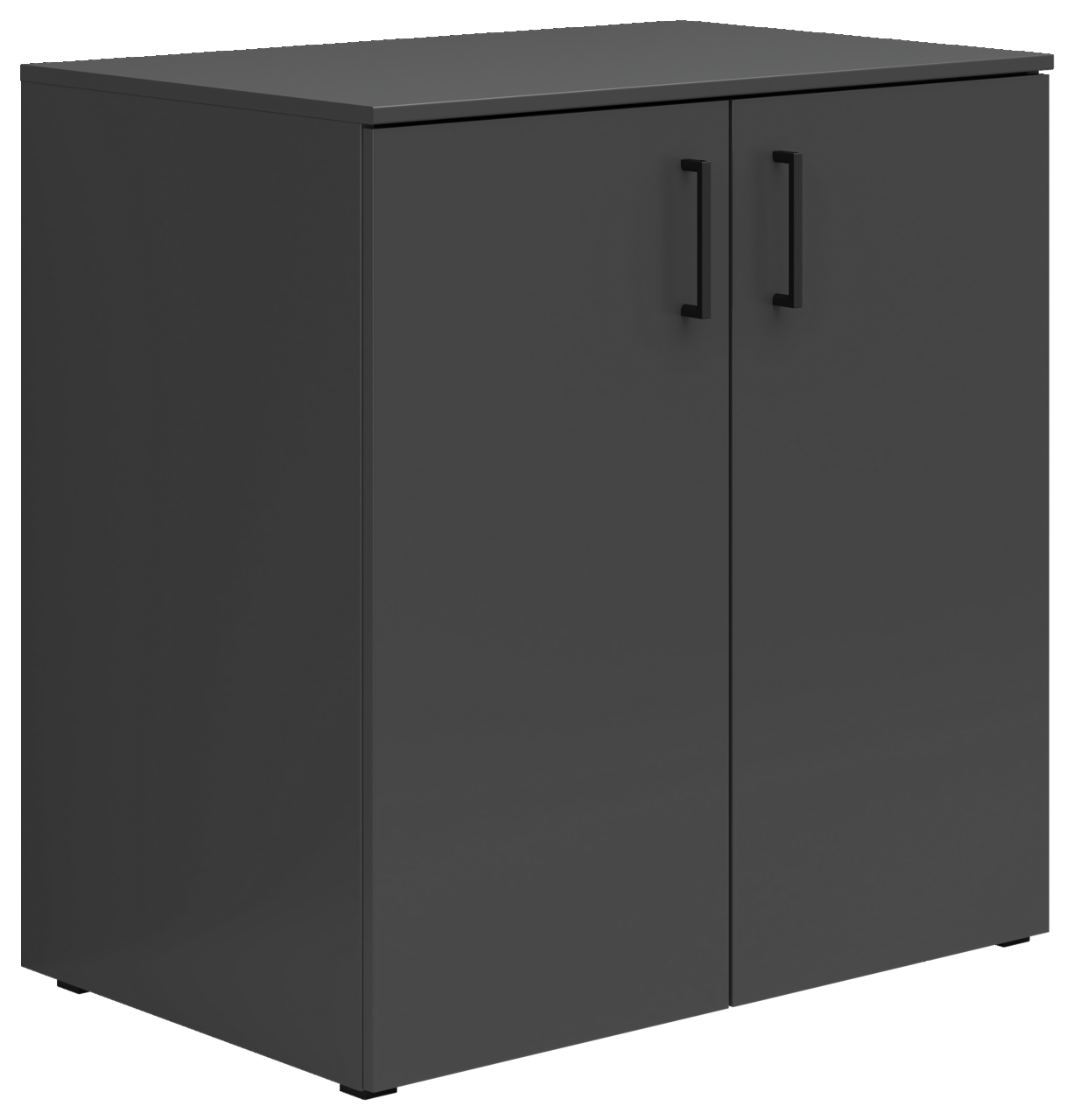 Carryhome Kommode MULTISTAURAUM Schwarze Kommode mit zwei Türen und schwarzen Griffen, seitliche Perspektive