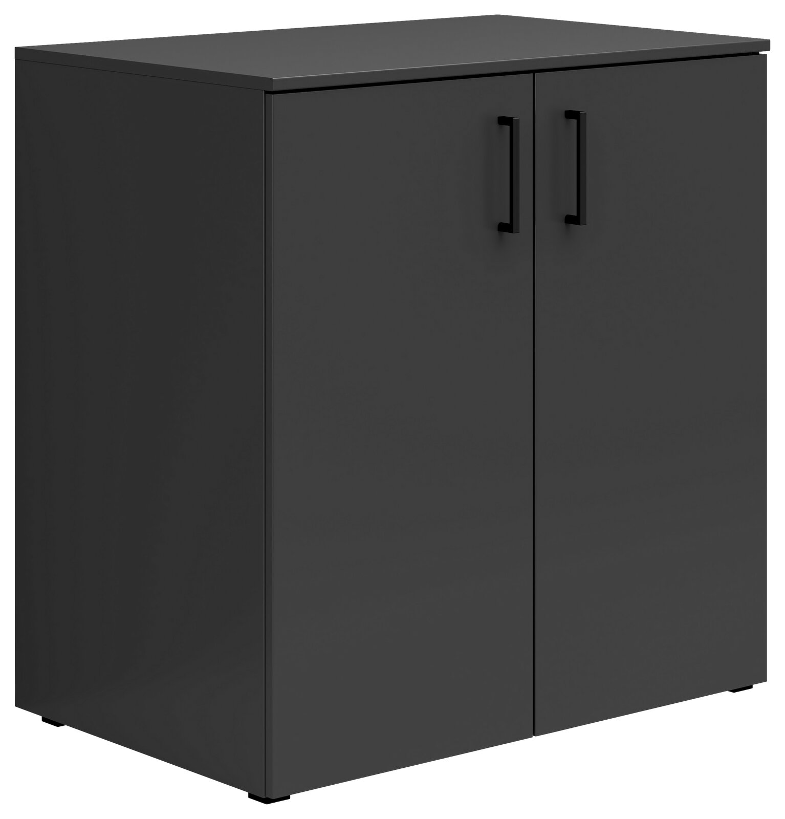 Carryhome Kommode MULTISTAURAUM Schwarze Kommode mit zwei Türen und schwarzen Griffen, seitliche Perspektive