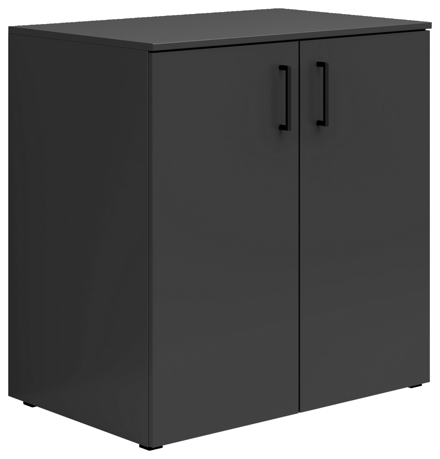 Carryhome Kommode MULTISTAURAUM Schwarze Kommode mit zwei Türen und schwarzen Griffen, seitliche Perspektive