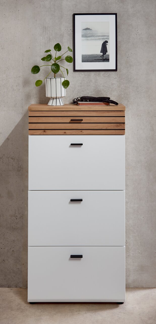 Schmaler Schuhschrank mit weißem Korpus und Holzoberfläche, dekoriert mit einer Pflanze und einem Bild an der Wand, frontal betrachtet.