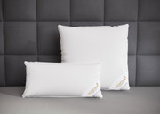 Zwei weiße Spessarttraum 3-Kammerkissen auf einem grauen Bett, frontal fotografiert vor einer gepolsterten Wand.