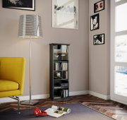 Schlankes, schwarzes CD/DVD-Standregal mit Glastür und mehreren Fächern, gefüllt mit Medien, im Wohnzimmer neben einer gestreiften Stehlampe; frontale Perspektive auf das Produkt.