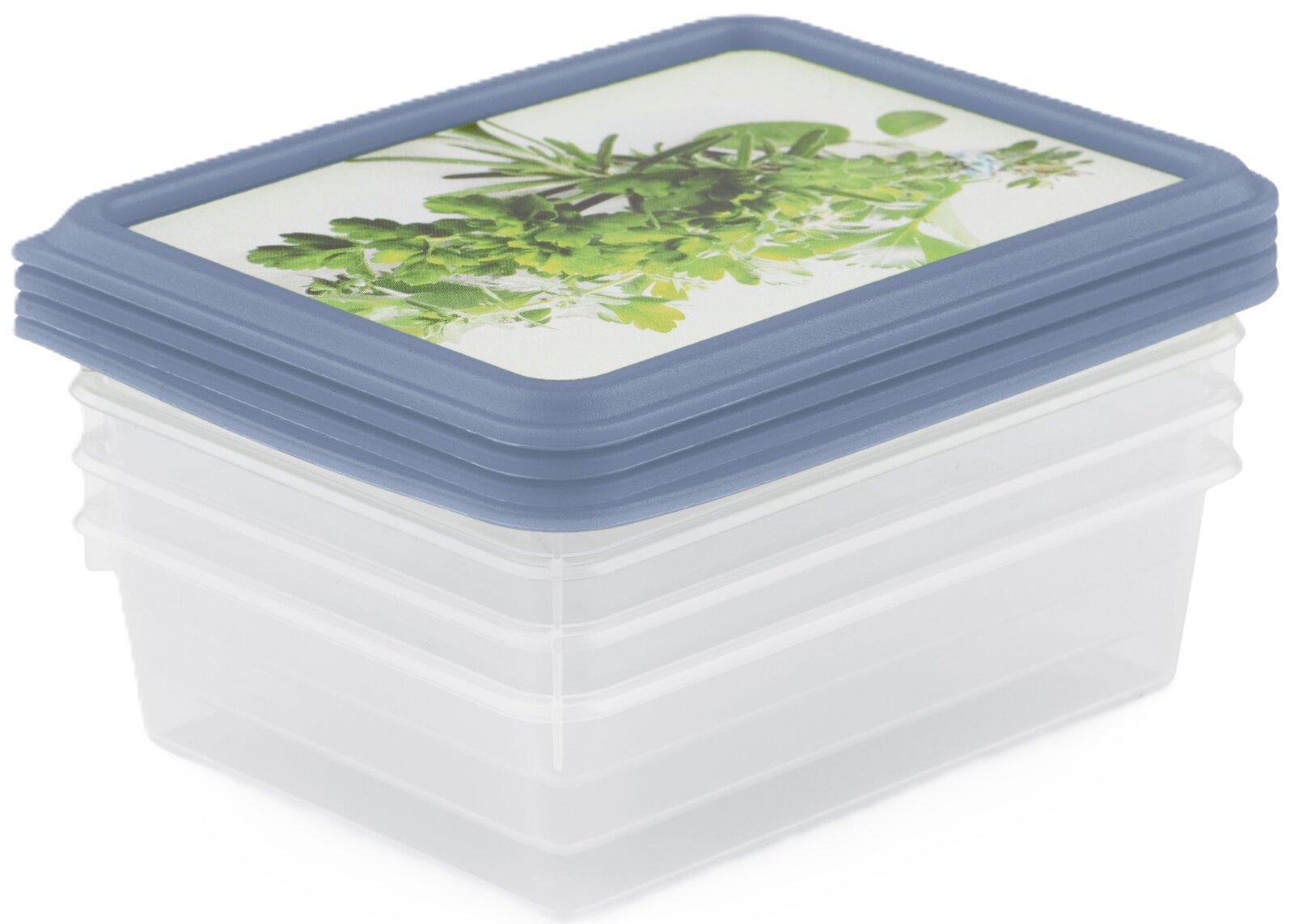 Transparente, rechteckige Frischhaltedose mit blauem Deckel und Kräuter-Motiv, schräg von oben in Frontansicht fotografiert.