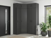 Eckschrank in modernem Design, dunkelgrau, in einer Ecke eines hellen Raumes mit Pflanzen und einem Koffer, seitliche Perspektive