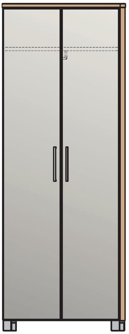 Moderner Dielenschrank mit zwei Türen, frontal abgebildet, in schlichter Holzoptik mit schwarzen Griffen.