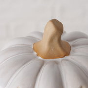 Nahaufnahme eines weißen Kürbisses mit natürlichem Stiel, von oben betrachtet.