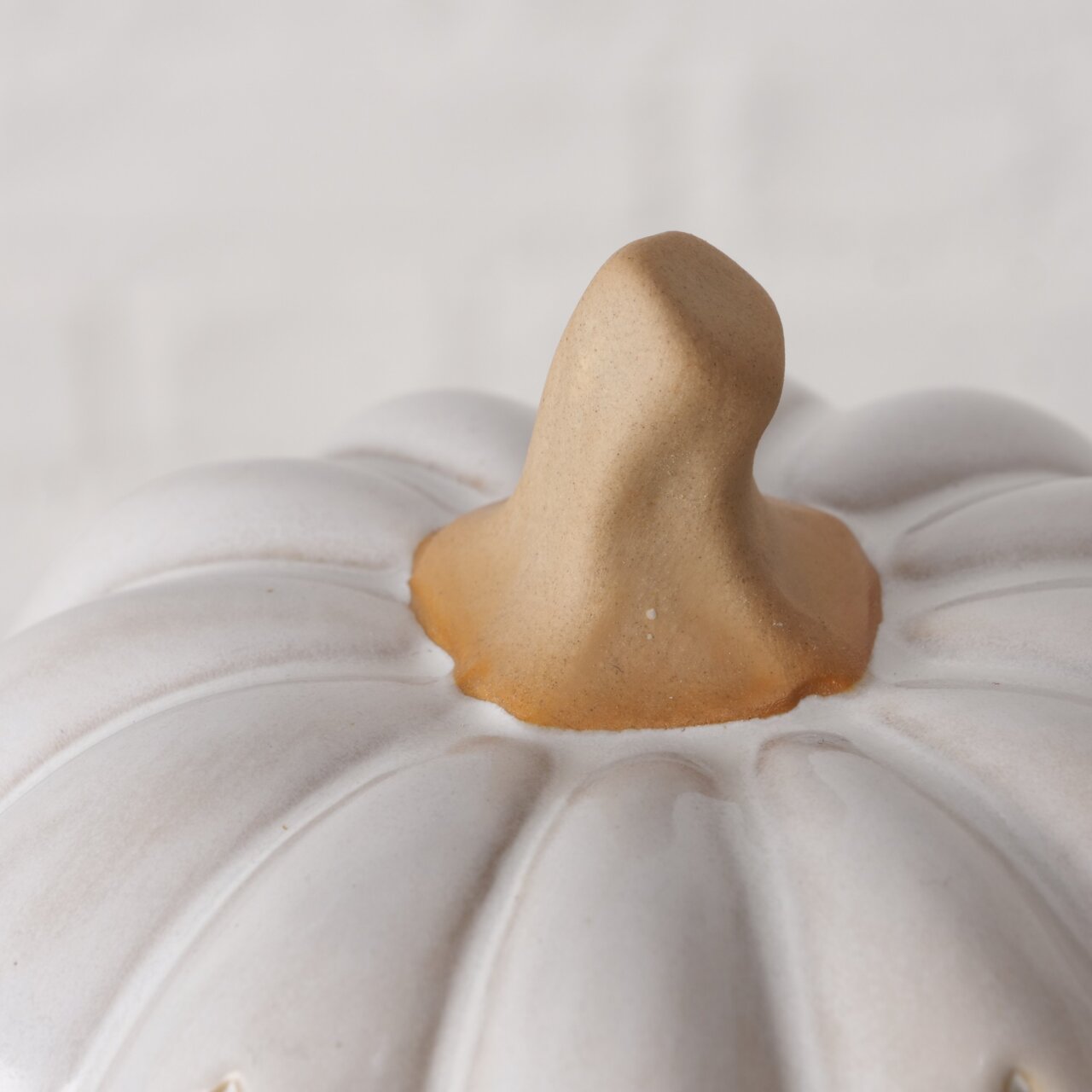 Nahaufnahme eines weißen Kürbisses mit natürlichem Stiel, von oben betrachtet.