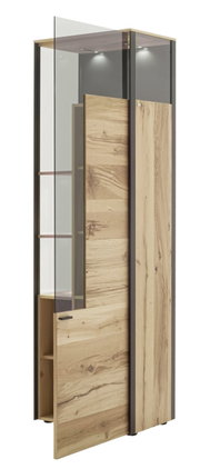 Moderne Vitrine aus Holz und Glas mit offener Tür, seitliche Perspektive