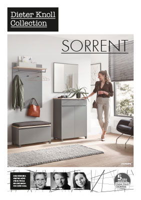 Dieter Knoll Dorrent - Katalog
