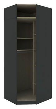 Eckschrank Korpus 242 in dunkler Farbe, offene Frontansicht mit mehreren Regalböden und Fächern.