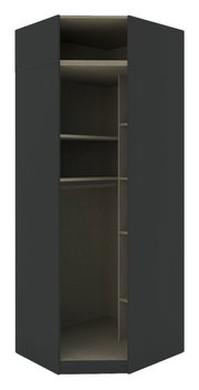 Eckschrank Korpus 242 in dunkler Farbe, offene Frontansicht mit mehreren Regalböden und Fächern.