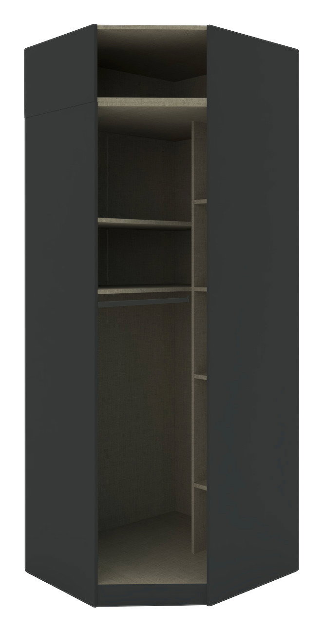 Eckschrank Korpus 242 in dunkler Farbe, offene Frontansicht mit mehreren Regalböden und Fächern.