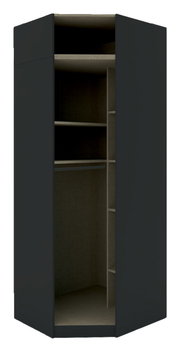 Eckschrank Korpus 242 in dunkler Farbe, offene Frontansicht mit mehreren Regalböden und Fächern.
