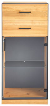 Vitrinenschrank aus Holz mit zwei Schubladen und Glastür, Frontalansicht