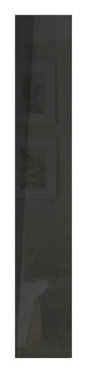 Hochglanz anthrazitfarbene Tür in Frontalansicht, Maße 234x45 cm