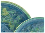 Nahaufnahme zweier überlappender, runder Keramikteller in Blau- und Grüntönen mit marmorierter Glasur und grünem Rand, schräg von oben fotografiert.