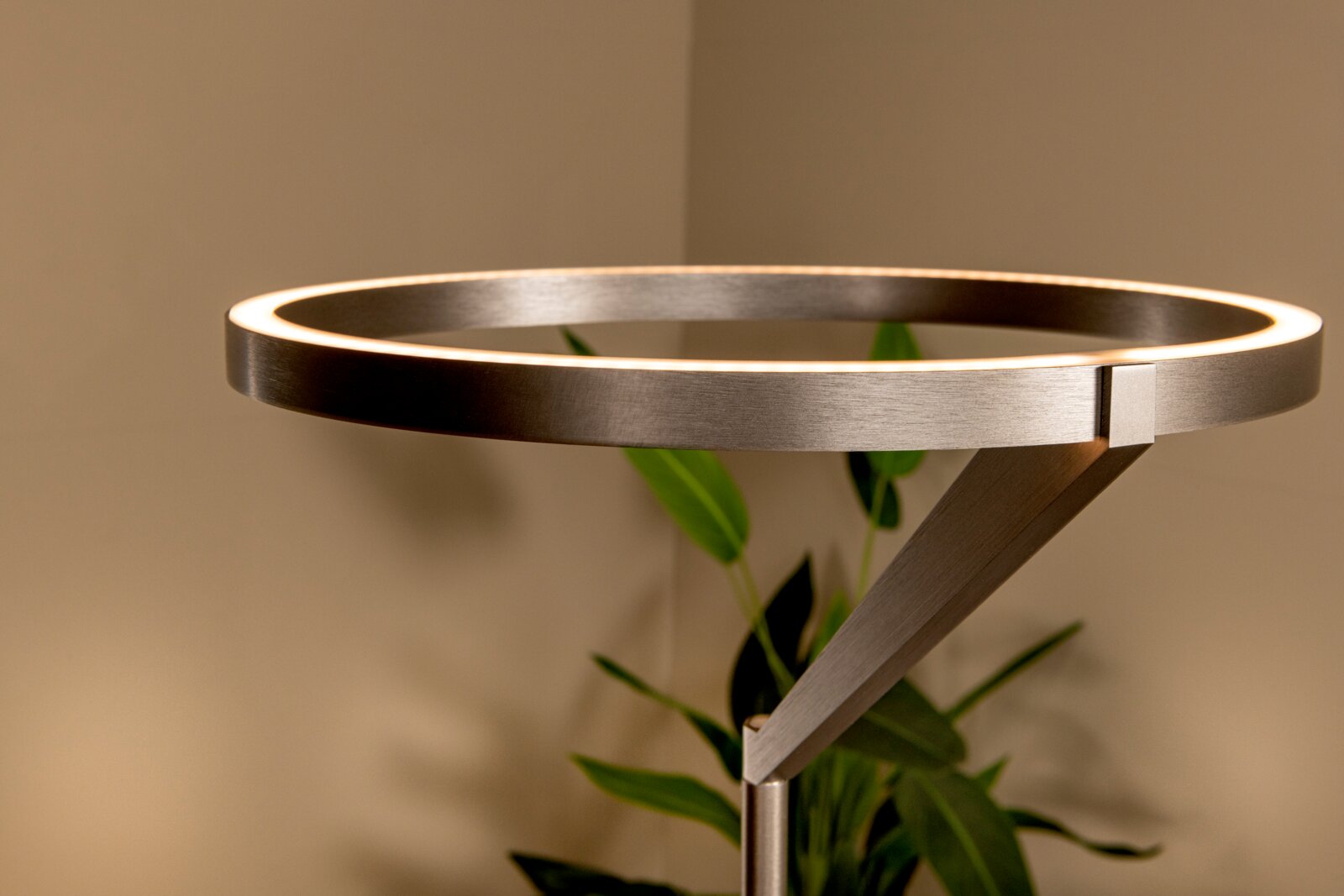 Moderne LED-Stehlampe mit ringförmigem Leuchtkopf in gebürstetem Metall, warmweiß leuchtender Lichtkante und schrägem Arm, seitliche Nahaufnahme auf den Lampenkopf