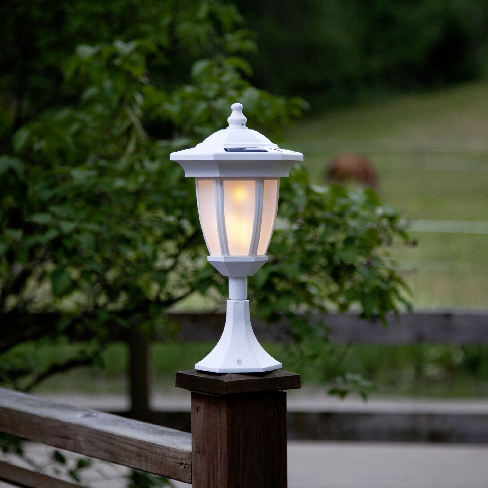 Weiße Solar-Gartenlaterne im klassischen Laternenstil mit warmem Licht auf einem Holzpfosten, frontal aus leicht erhöhter Perspektive fotografiert, unscharfer grüner Gartenhintergrund.