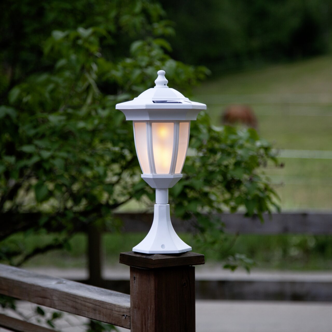 Weiße Solar-Gartenlaterne im klassischen Laternenstil mit warmem Licht auf einem Holzpfosten, frontal aus leicht erhöhter Perspektive fotografiert, unscharfer grüner Gartenhintergrund.
