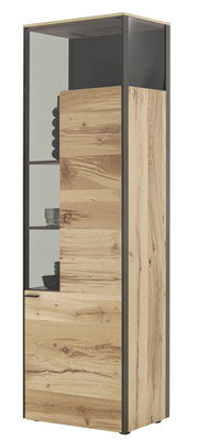 Vitrine aus Holz mit Glasfront, seitliche Perspektive