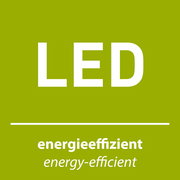 Grünes LED-Symbol mit der Aufschrift 'energieeffizient', Vorderansicht