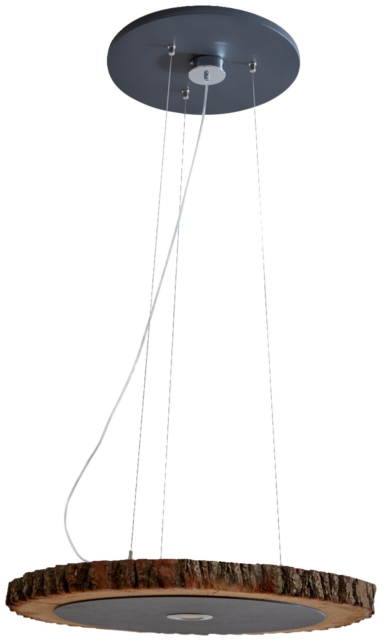 Hängelampe aus einer Baumscheibe mit natürlicher Rinde, von unten betrachtet.