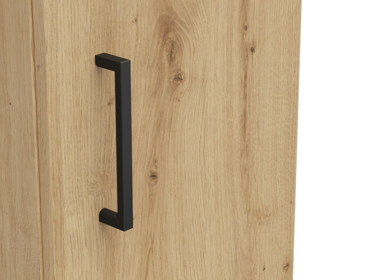 Carryhome Mehrzweckschrank MULTISTAURAUM Nahaufnahme eines Holzschranks mit schwarzem Griff, seitliche Perspektive