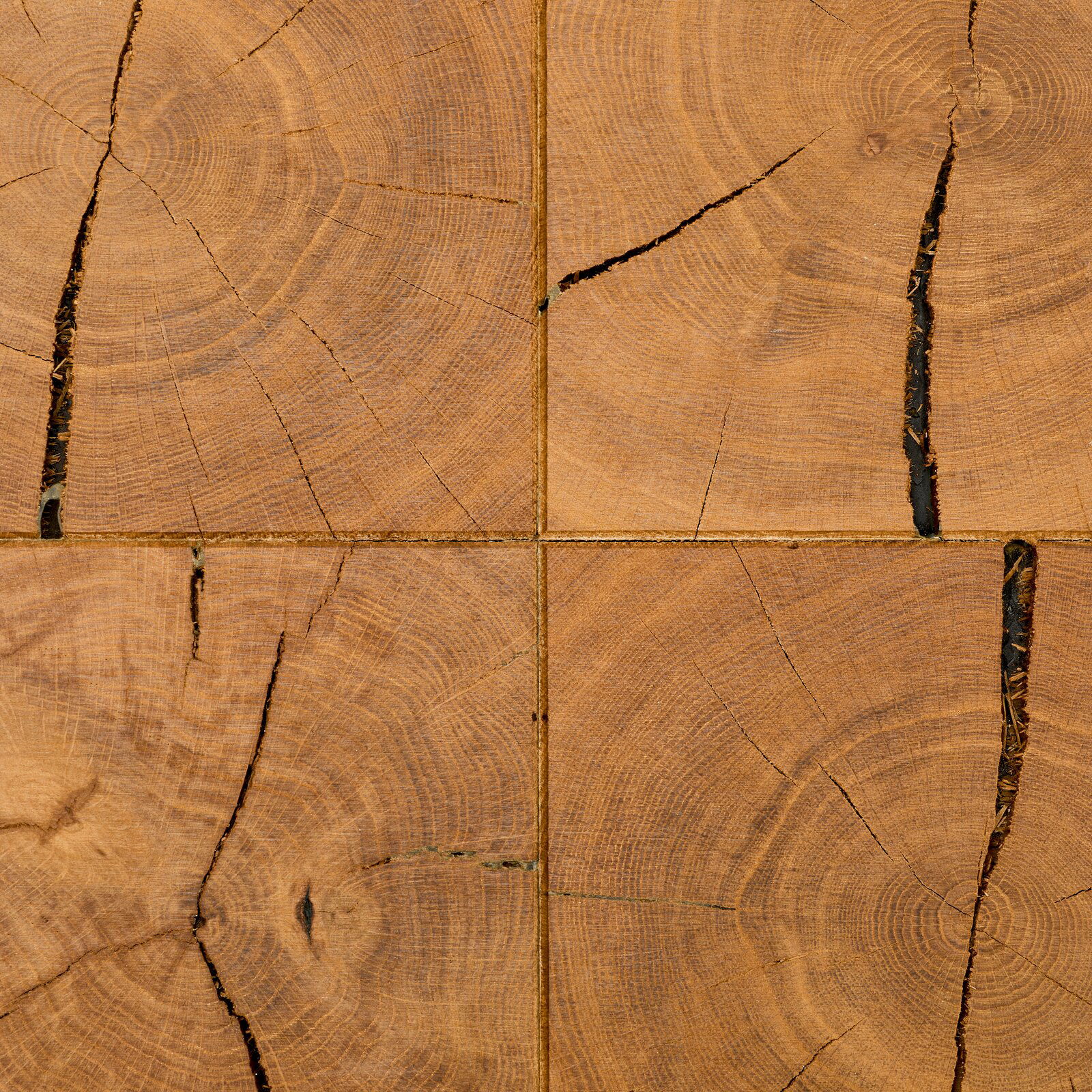 Draufsicht auf eine rustikale Holzoberfläche aus vier quadratischen Hirnholz-Blöcken mit sichtbaren Jahresringen und natürlichen Rissen in warmem Braunton