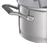 Nahaufnahme eines Edelstahlkochtopfs mit Glasdeckel und schwarzem Griff, seitliche Perspektive