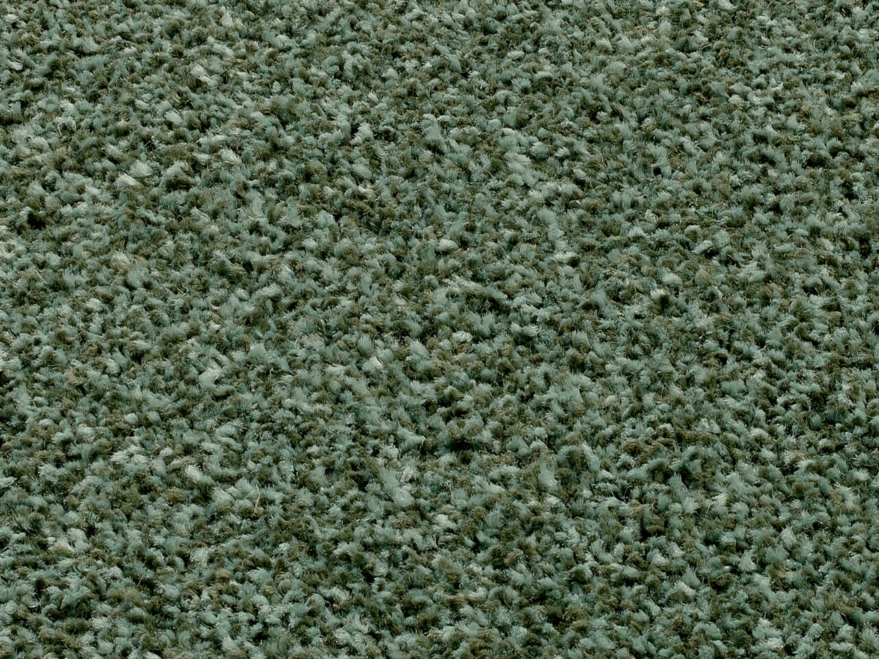 Nahaufnahme eines Uni-Teppichs in grünlicher Farbe, von oben betrachtet.