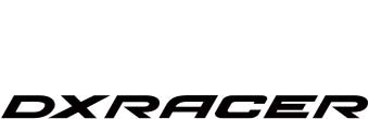 DX Racer