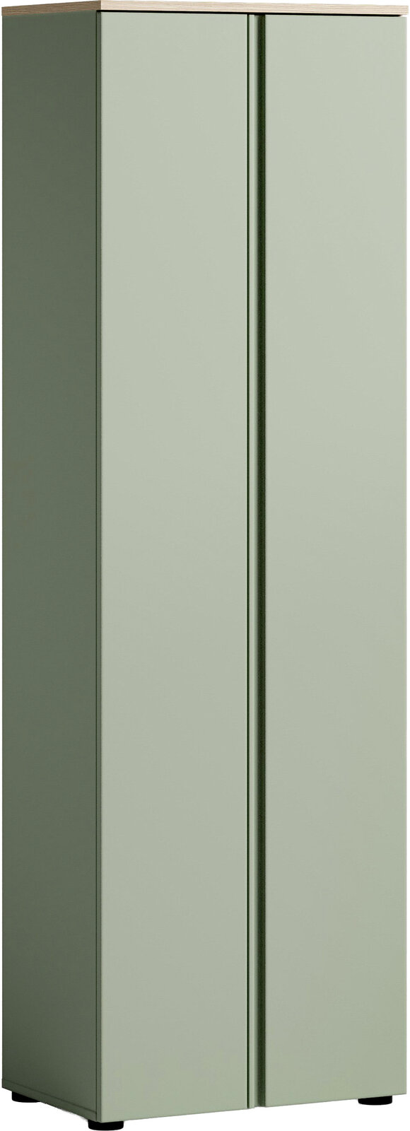 Grüner Garderobenschrank mit zwei Türen, aus einer leicht seitlichen Perspektive fotografiert.