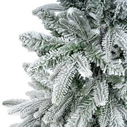 Nahaufnahme von schneebedeckten Tannenzweigen aus der Perspektive von oben.
