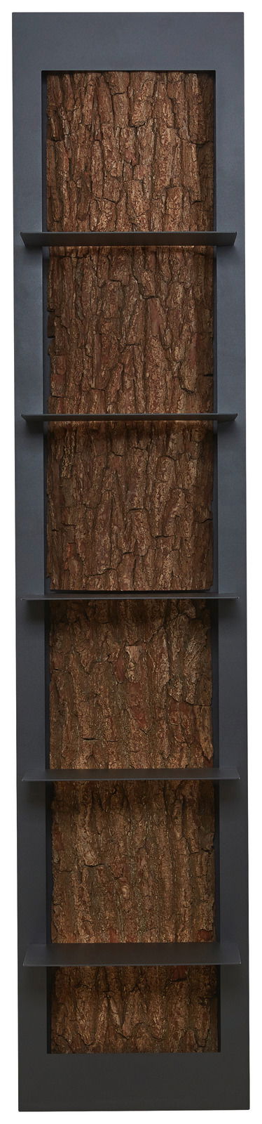 Regalelement mit fünf Ablagen, vertikale Perspektive, Rückwand in Baumrindenoptik