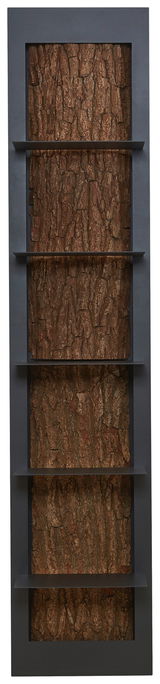 Regalelement mit fünf Ablagen, vertikale Perspektive, Rückwand in Baumrindenoptik