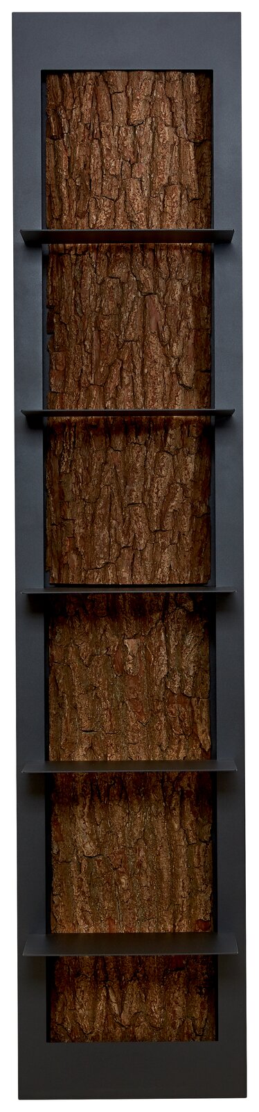 Regalelement mit fünf Ablagen, vertikale Perspektive, Rückwand in Baumrindenoptik