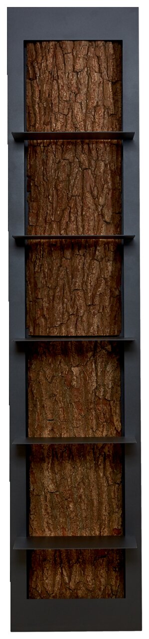 Valnatura Regalelement LAVIA Regalelement mit fünf Ablagen, vertikale Perspektive, Rückwand in Baumrindenoptik