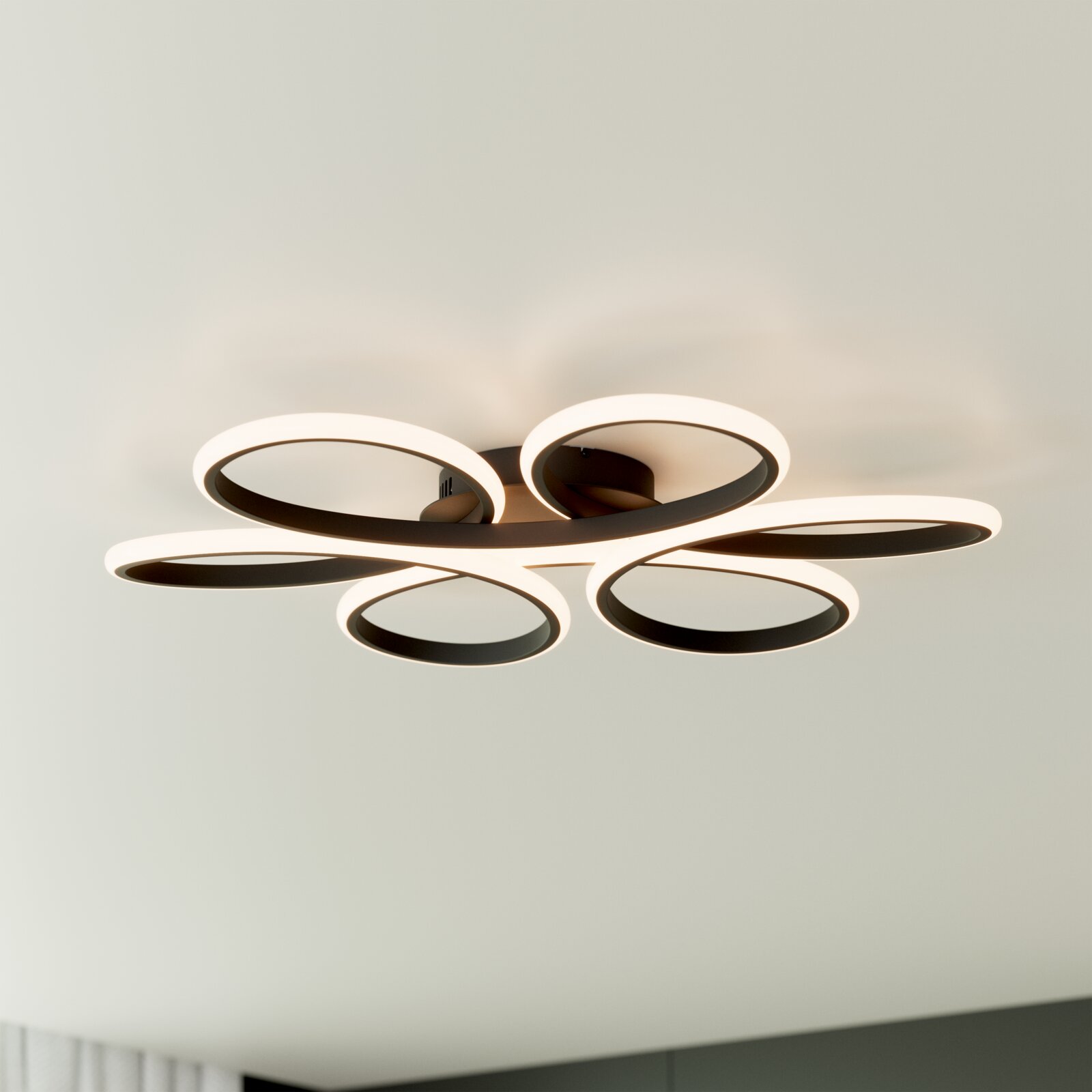 Novel LED-plafondlamp Moderne LED-Deckenleuchte in Schwarz mit vier ringförmigen Lichtschlaufen, warmweiß leuchtend, in leichter Untersicht von unten an der Decke fotografiert
