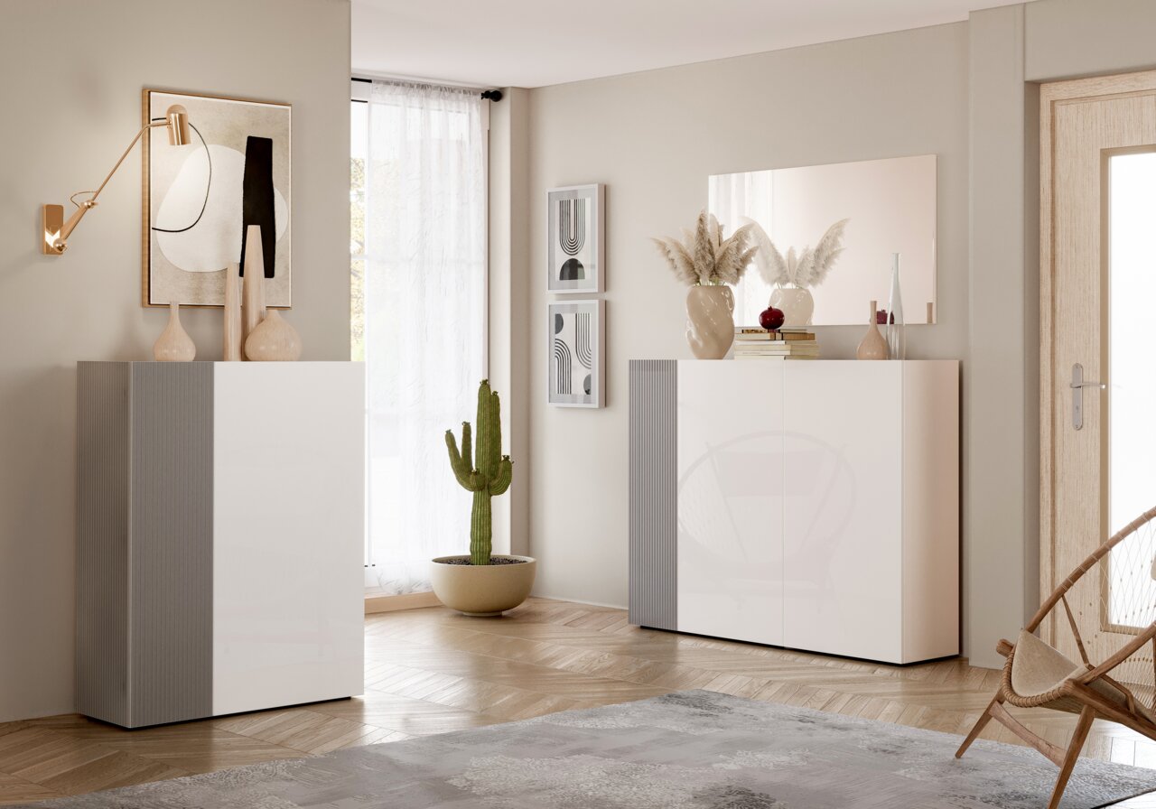 Moderne schoenenkast in een stijlvolle woonkamer, met decoratieve vazen en een cactus, gezien vanuit een vooraanzicht.