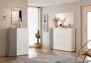 Moderne schoenenkast in een stijlvolle woonkamer, met decoratieve vazen en een cactus, gezien vanuit een vooraanzicht.