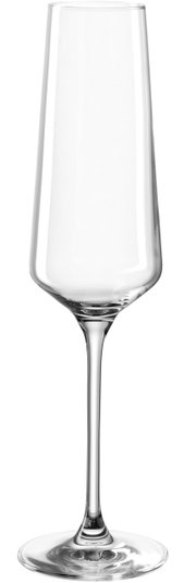 Elegant champagneglas met een slanke steel en een strakke vorm, zijaanzicht