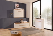 Moderne woonkamer met wit dressoir en ladekast, houten details, grote raampartij, zijaanzicht